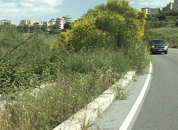 Archivio Notizie Corriere di Sciacca